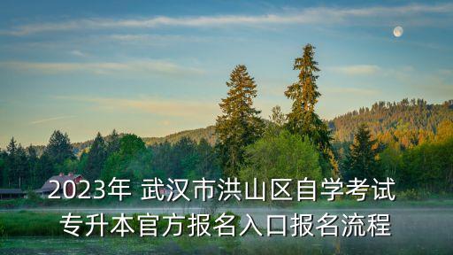 2023年 武漢市洪山區(qū)自學(xué)考試 專升本官方報名入口報名流程