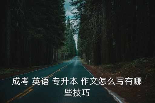 成考 英語(yǔ) 專(zhuān)升本 作文怎么寫(xiě)有哪些技巧