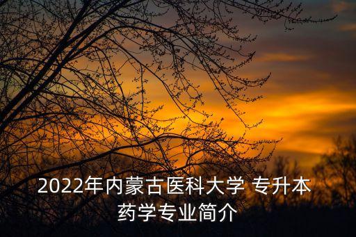 2022年內(nèi)蒙古醫(yī)科大學 專升本 藥學專業(yè)簡介