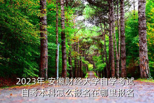 2023年 安徽財(cái)經(jīng)大學(xué)自學(xué)考試 自考本科怎么報(bào)名在哪里報(bào)名