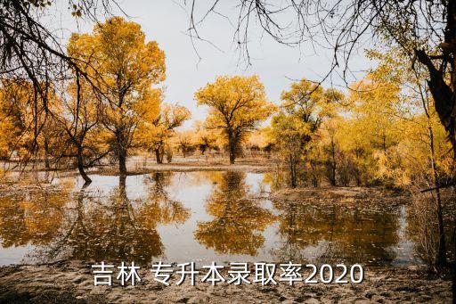 吉林 專升本錄取率2020