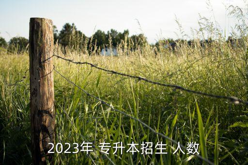 2023年 專升本招生 人數(shù)