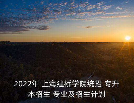 2022年 上海建橋學院統(tǒng)招 專升本招生 專業(yè)及招生計劃