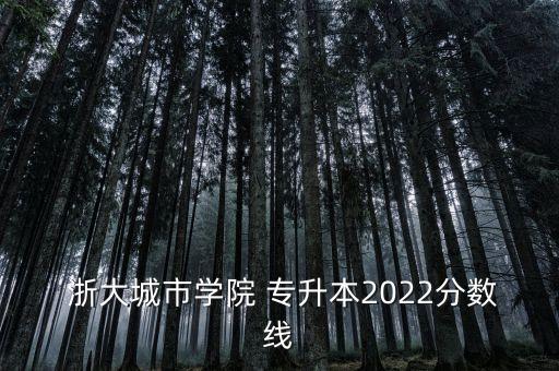  浙大城市學(xué)院 專升本2022分?jǐn)?shù)線