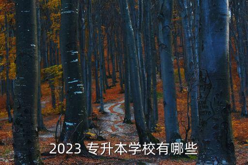 2023 專升本學(xué)校有哪些