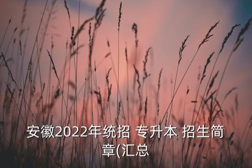 安徽2022年統(tǒng)招 專(zhuān)升本 招生簡(jiǎn)章(匯總