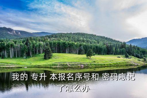 專升本報名密碼規(guī)定,海南專升本報名密碼是什么