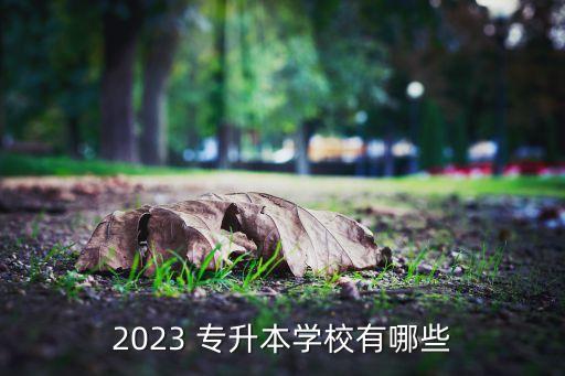 2023 專升本學校有哪些