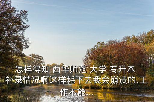 怎樣得知 西華師范 大學(xué) 專升本 補(bǔ)錄情況啊這樣耗下去我會(huì)崩潰的,工作不能...