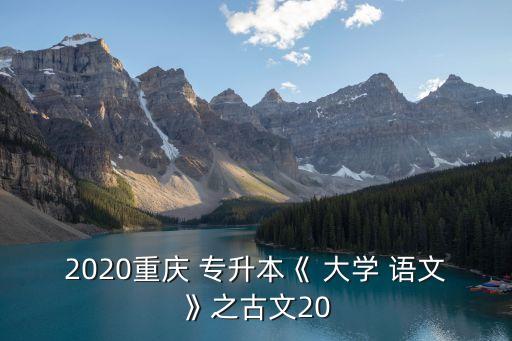 2020重慶 專升本《 大學 語文》之古文20