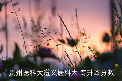  貴州醫(yī)科大遵義醫(yī)科大 專升本分?jǐn)?shù)