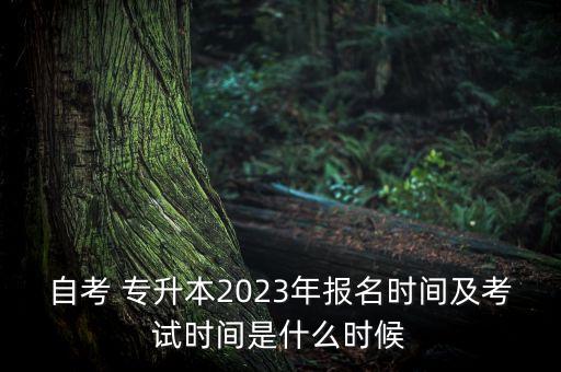 自考 專升本2023年報名時間及考試時間是什么時候