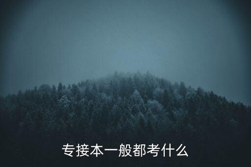 專接本一般都考什么