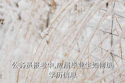  公務(wù)員報(bào)考中,應(yīng)屆畢業(yè)生如何填 學(xué)歷信息