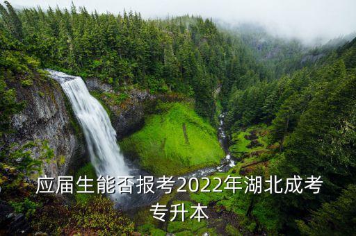  應(yīng)屆生能否報考2022年湖北成考 專升本