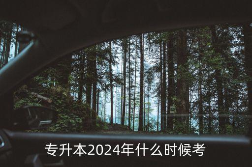 專升本2024年什么時候考