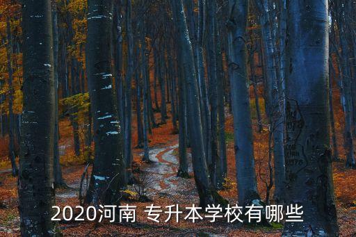 2020河南 專升本學(xué)校有哪些