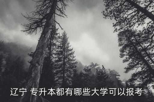 遼寧 專升本都有哪些大學(xué)可以報(bào)考