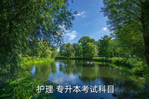 學護理專升本英語怎么說,我的大學目標是專升本用英語怎么說