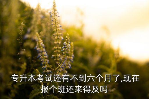  專升本考試還有不到六個(gè)月了,現(xiàn)在報(bào)個(gè)班還來得及嗎