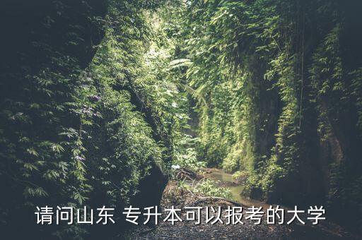 請(qǐng)問(wèn)山東 專升本可以報(bào)考的大學(xué)