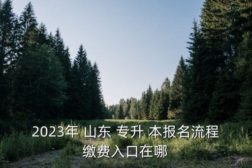 2023年 山東 專升 本報(bào)名流程繳費(fèi)入口在哪