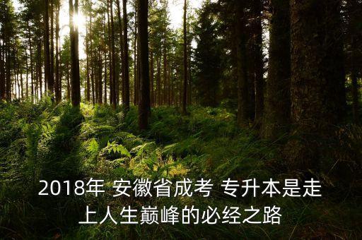 2018年普通高校安徽專升本計(jì)劃,云南省2018普通高校專升本英語(yǔ)答案