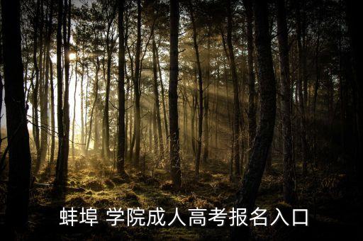  蚌埠 學(xué)院成人高考報名入口