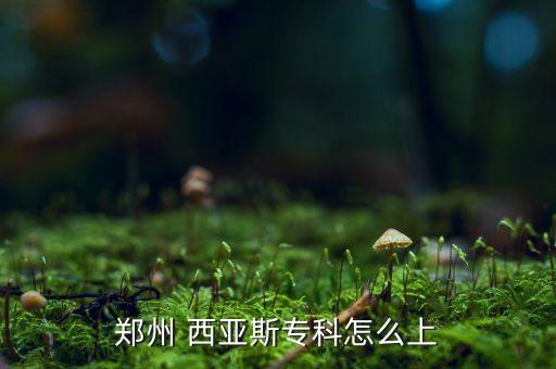 西亞斯專升本好進(jìn)嗎,鄭州西亞斯學(xué)院專升本分?jǐn)?shù)線