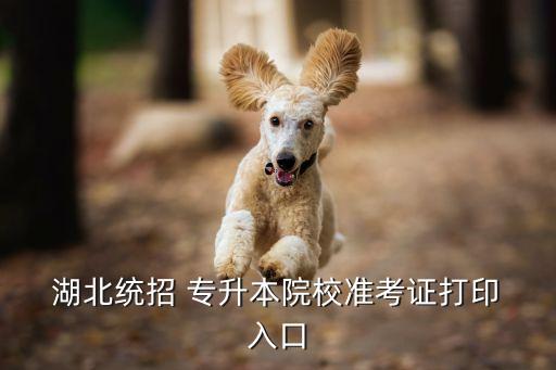 湖北科技學(xué)院專升本分?jǐn)?shù)查詢?nèi)肟? /></a><a href=