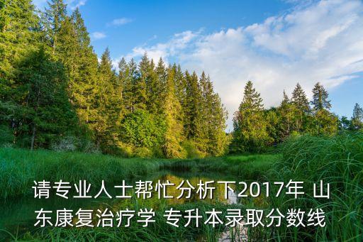 請專業(yè)人士幫忙分析下2017年 山東康復(fù)治療學(xué) 專升本錄取分?jǐn)?shù)線