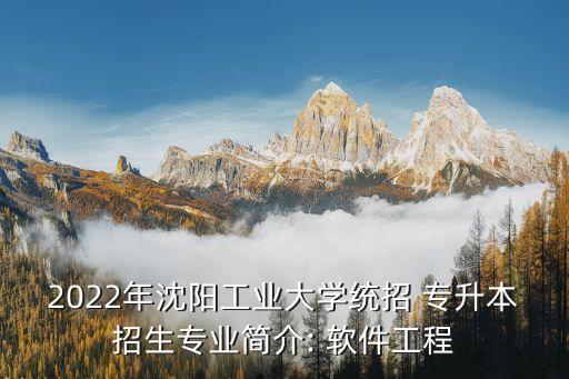 2022年沈陽工業(yè)大學統(tǒng)招 專升本招生專業(yè)簡介: 軟件工程