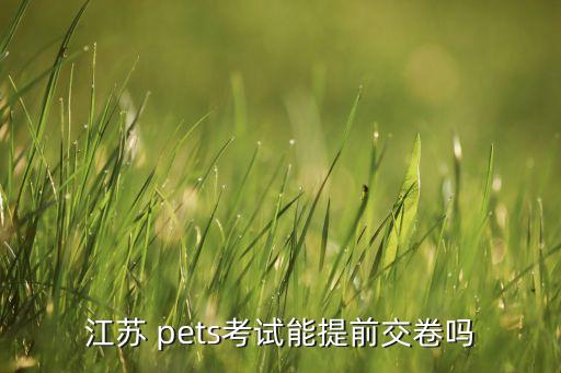 江蘇 pets考試能提前交卷嗎