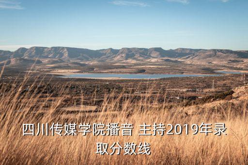 四川傳媒學院播音 主持2019年錄取分數(shù)線