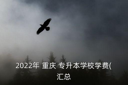 2022年 重慶 專升本學校學費(匯總