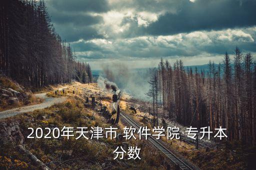 2020年天津市 軟件學(xué)院 專升本分?jǐn)?shù)