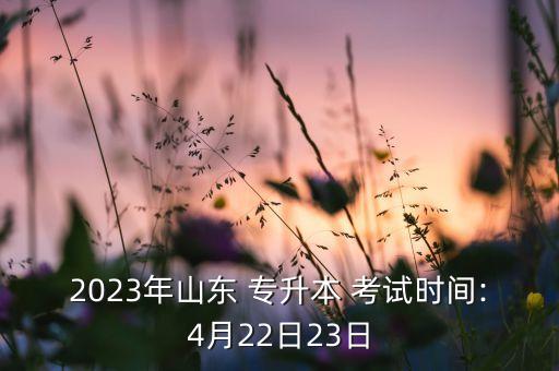 2023年山東 專升本 考試時間:4月22日23日