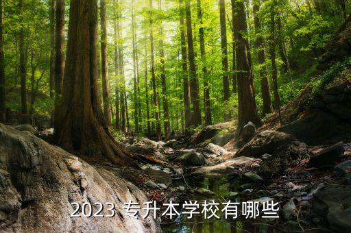 新華學(xué)院專升本英語(yǔ),安徽新華學(xué)院專升本2022