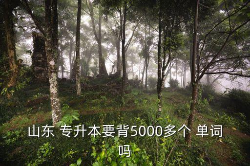 山東 專升本要背5000多個(gè) 單詞嗎