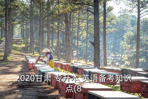 2020甘肅 專升本 英語備考知識點(8