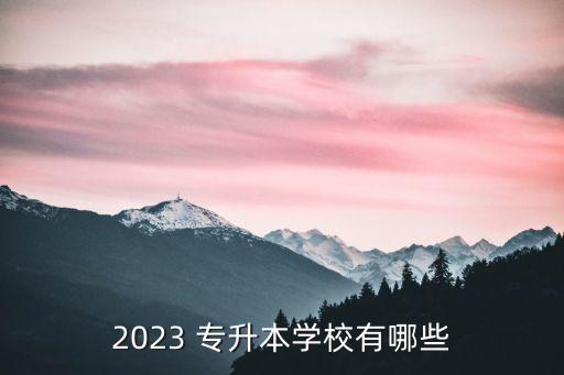 2023 專升本學(xué)校有哪些