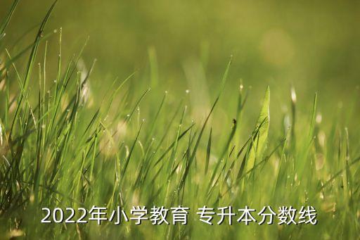 2022年小學(xué)教育 專升本分數(shù)線