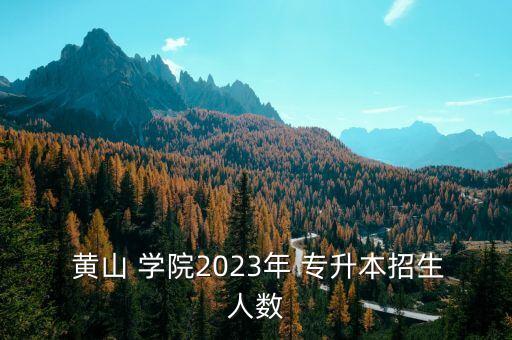  黃山 學院2023年 專升本招生人數(shù)