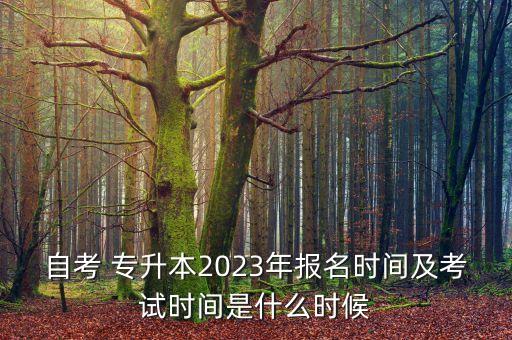 自考 專升本2023年報名時間及考試時間是什么時候