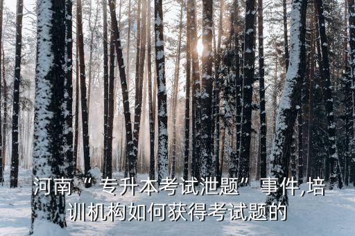 河南專升本管理模擬題,2023河南專升本英語(yǔ)模擬題