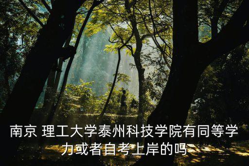 南京 理工大學泰州科技學院有同等學力或者自考上岸的嗎