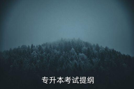 蘭州財經(jīng)大學專升本公共課試題