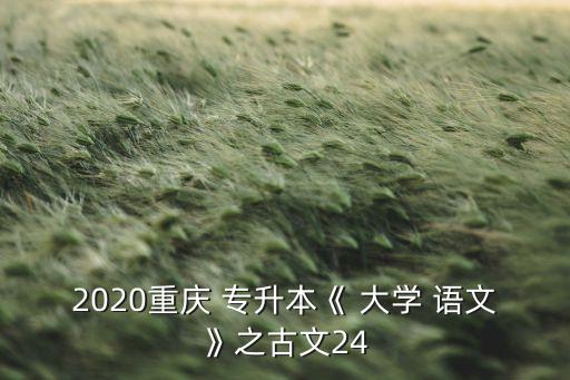 2020重慶 專升本《 大學 語文》之古文24