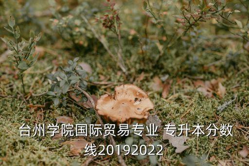  臺州學(xué)院國際貿(mào)易專業(yè) 專升本分?jǐn)?shù)線20192022