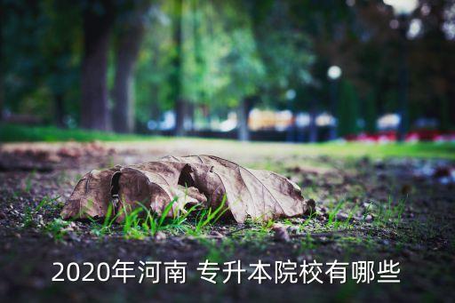 2020年河南 專升本院校有哪些